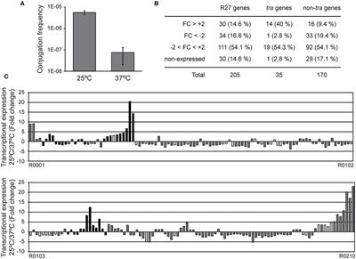 Temperature Dependent Control of the R27 Conjugative Plasmid Genes